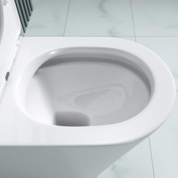Spülrandloses WC mit Spülkasten Stand-Toilette Soft-Close WC-Sitz S108T 