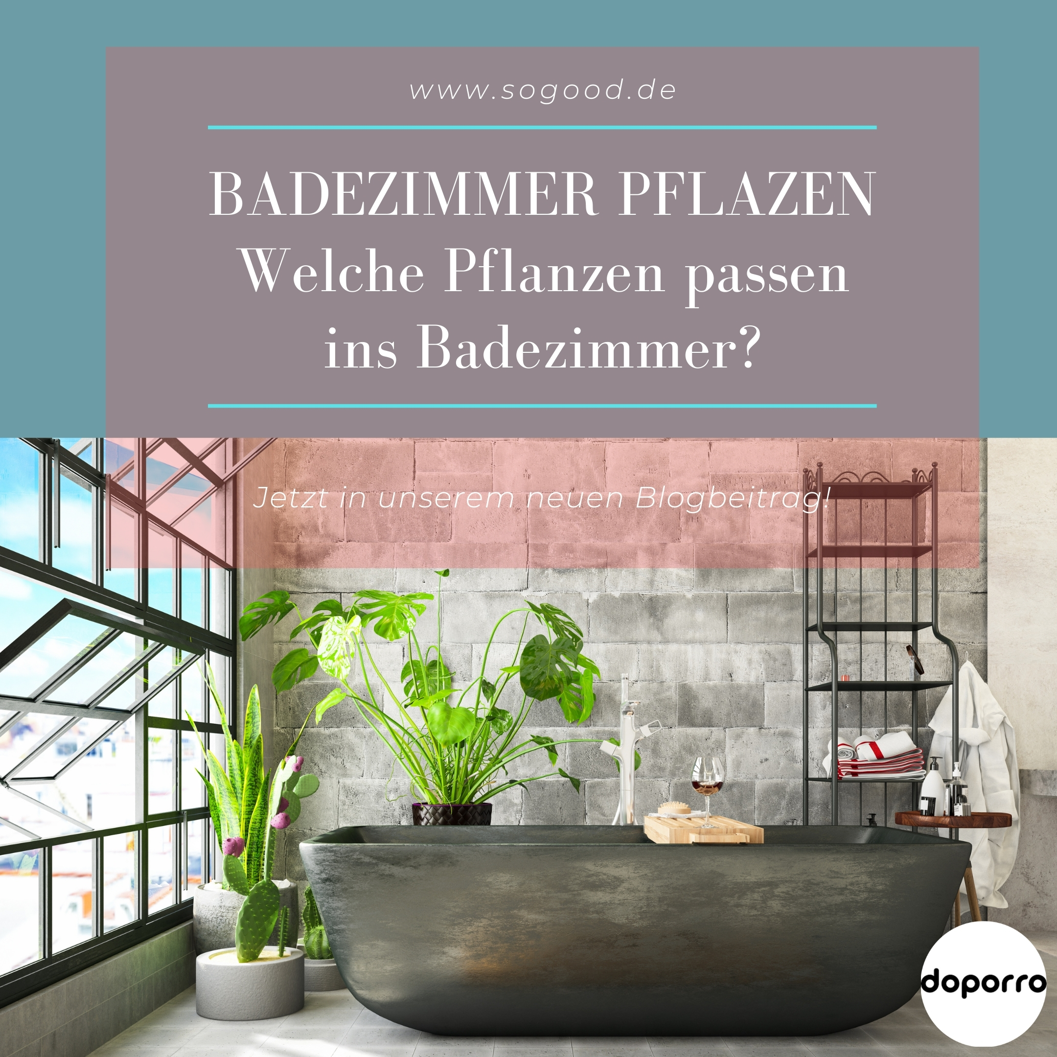 Badezimmer Pflanzen - Welche Pflanze passen ins Badezimmer?